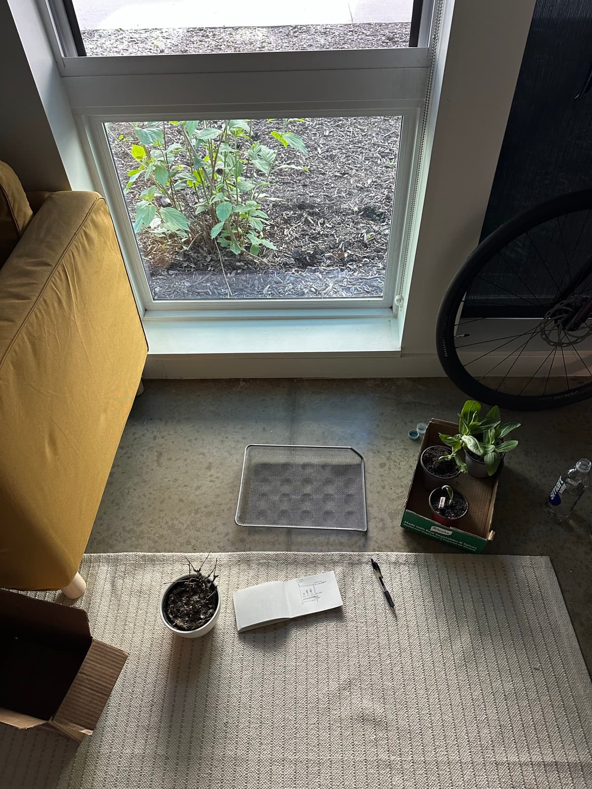 Build photo, May 2, 2026 — Day 1