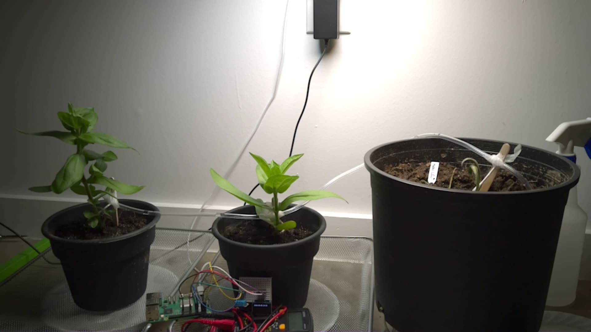 Capture from May 5 at 7:30 PM