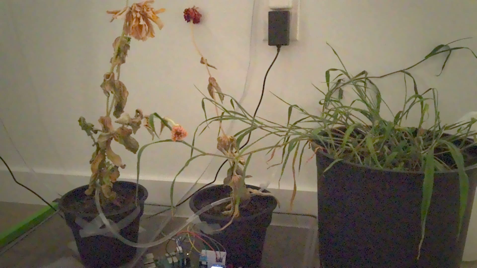 Capture from Jun 12 at 12:36 AM